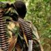 RDC: ADF Yongeye Kumena Amaraso y’Inzirakarengane mu Burasirazuba bwa Congo