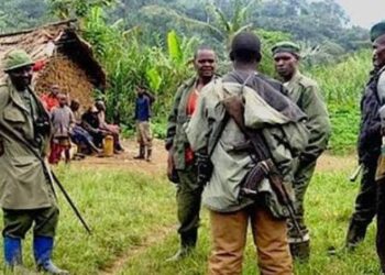 RDC: FDLR Yongeye Kumena Amaraso i Bambo