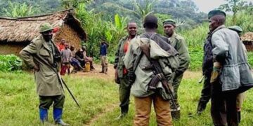 RDC: FDLR Yongeye Kumena Amaraso i Bambo
