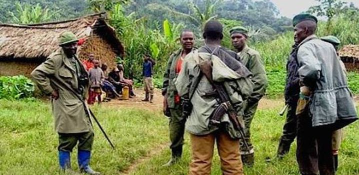 RDC: FDLR Yongeye Kumena Amaraso i Bambo