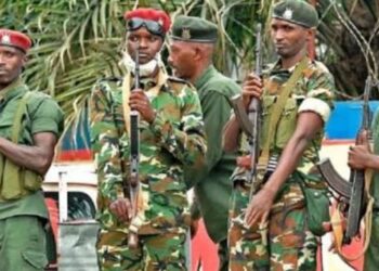 Longue Enquête sur l’Histoire du Red-Tabara dans les Hauts Plateaux de Mulenge : Son Arrivée au Sud-Kivu, sa Collaboration avec Gumino et les Accusations d’Attaques contre les Banyamulenge