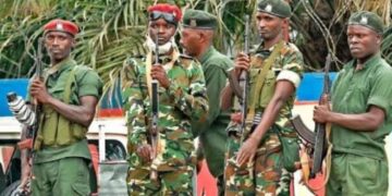 Longue Enquête sur l’Histoire du Red-Tabara dans les Hauts Plateaux de Mulenge : Son Arrivée au Sud-Kivu, sa Collaboration avec Gumino et les Accusations d’Attaques contre les Banyamulenge