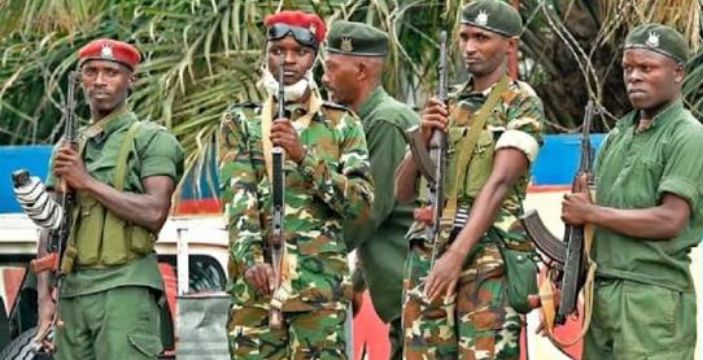 Longue Enquête sur l’Histoire du Red-Tabara dans les Hauts Plateaux de Mulenge : Son Arrivée au Sud-Kivu, sa Collaboration avec Gumino et les Accusations d’Attaques contre les Banyamulenge