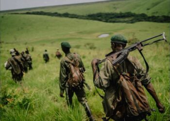 Les FARDC Tentent de Se Justifier Alors Qu’Elles Continuent de Reculer Face au MRDP-Twirwaneho dans les Hauts Plateaux de Minembwe