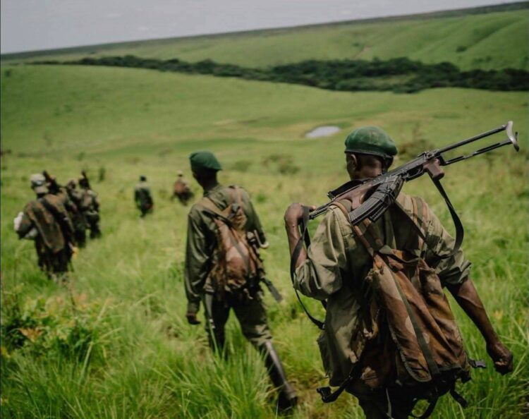 Les FARDC Tentent de Se Justifier Alors Qu’Elles Continuent de Reculer Face au MRDP-Twirwaneho dans les Hauts Plateaux de Minembwe