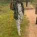 MRDP-Twirwaneho Recaptures Mikenke After Intense Fighting; Minembwe Residents Express Great Joy
