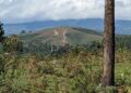 Minembwe: Drones Zangije Ibitaro n’Amazu y’Abaturage, FARDC n’Ingabo z’u Burundi Banyaze Inka z’Abanyamulenge