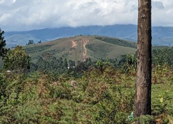Minembwe: Drones Zangije Ibitaro n’Amazu y’Abaturage, FARDC n’Ingabo z’u Burundi Banyaze Inka z’Abanyamulenge