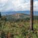 Minembwe: Drones Zangije Ibitaro n’Amazu y’Abaturage, FARDC n’Ingabo z’u Burundi Banyaze Inka z’Abanyamulenge