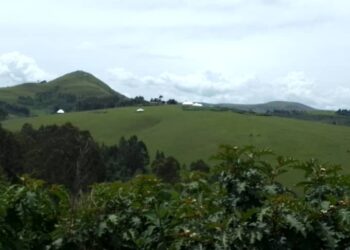 I Mulenge Hongeye Kwinjira mu Bihe Bikomeye: Ibisasu Byibasiye Imihana y’Abaturage n’Amatungo