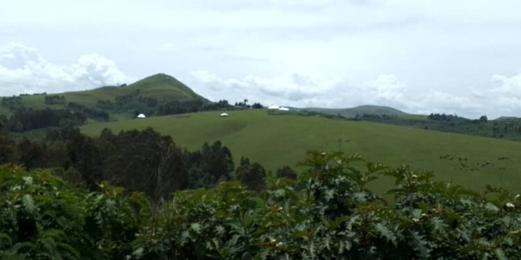 I Mulenge Hongeye Kwinjira mu Bihe Bikomeye: Ibisasu Byibasiye Imihana y’Abaturage n’Amatungo