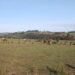Mulenge Once Again Enters a Difficult Period: Shelling Targets Civilian Settlements and Livestock