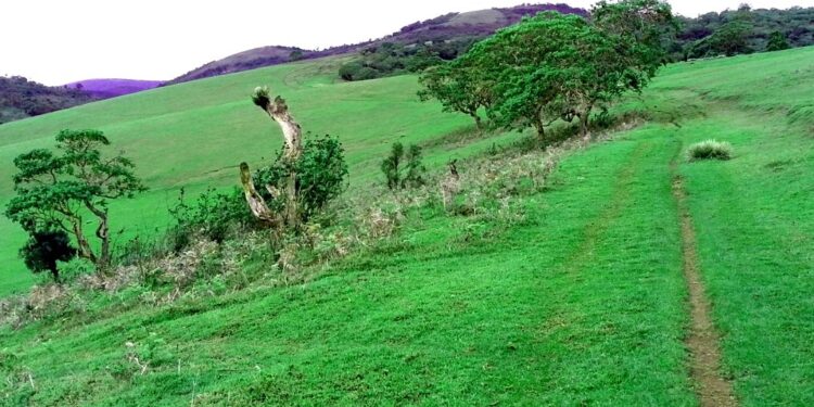 Le MRDP-Twirwaneho inflige de lourdes pertes aux FARDC et aux forces burundaises lors de violents affrontements dans les hauts plateaux de Bijombo