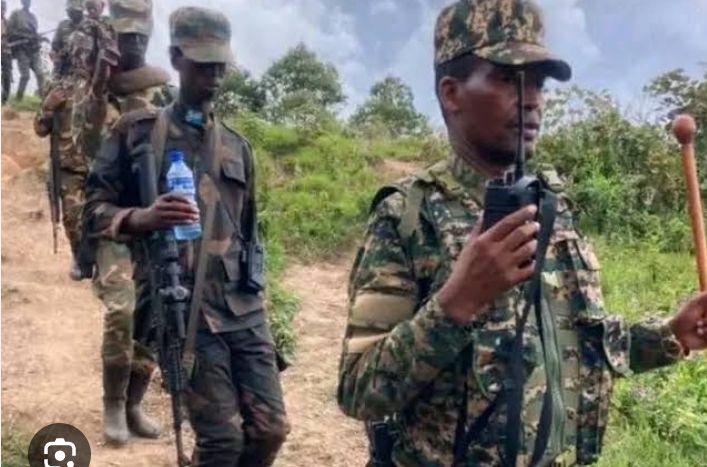 MRDP-Twirwaneho Rejects Claims That Minembwe Center Has Been Captured by FARDC and Its Allies