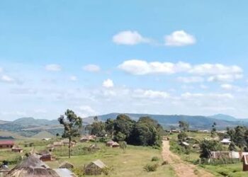 International Alert: Girinka Calls on the UN, AU, and the International Community to Protect Banyamulenge and Tutsi Communities in Eastern DRC