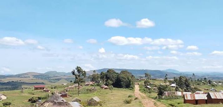 International Alert: Girinka Calls on the UN, AU, and the International Community to Protect Banyamulenge and Tutsi Communities in Eastern DRC