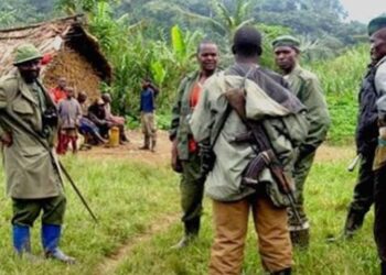 Col. Bora: FDLR Yamaze Gushinga Imizi muri RDC no mu Burundi — Ubuhamya Bukomeye