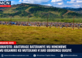 Nyuma y’Iminsi Myinshi y’Intambara, Isoko ya Gatanu Yongeye Kuremera ku Kiziba: Abanyamulenge Bari mu Byishimo, Ibiciro by’Ibicuruzwa Bikomeje Kugabanuka mu Minembwe