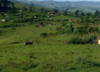 Kivu y’Epfo: Gipupu Yahindutse Agace Kagenzurwa na MRDP-Twirwaneho na AFC/M23 Nyuma y’Ihunga rya FARDC n’Ingabo z’u Burundi