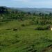Kivu y’Epfo: Gipupu Yahindutse Agace Kagenzurwa na MRDP-Twirwaneho na AFC/M23 Nyuma y’Ihunga rya FARDC n’Ingabo z’u Burundi