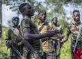 Ibyahishuwe ku Nkomere za FDLR n’Abafatanyabikorwa Bayo