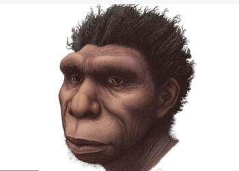 Amabanga Yari Yaribagiranye y’Aba-Neanderthal: Siyansi Yongeye Kwerekana Isura y’Umugore Wabayeho Imyaka 75,000 Ishize, Ihindura Uko Twumvaga Inkomoko y’Ikiremwamuntu