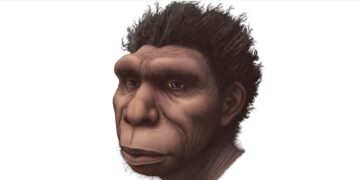Amabanga Yari Yaribagiranye y’Aba-Neanderthal: Siyansi Yongeye Kwerekana Isura y’Umugore Wabayeho Imyaka 75,000 Ishize, Ihindura Uko Twumvaga Inkomoko y’Ikiremwamuntu