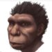 Amabanga Yari Yaribagiranye y’Aba-Neanderthal: Siyansi Yongeye Kwerekana Isura y’Umugore Wabayeho Imyaka 75,000 Ishize, Ihindura Uko Twumvaga Inkomoko y’Ikiremwamuntu