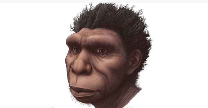 Amabanga Yari Yaribagiranye y’Aba-Neanderthal: Siyansi Yongeye Kwerekana Isura y’Umugore Wabayeho Imyaka 75,000 Ishize, Ihindura Uko Twumvaga Inkomoko y’Ikiremwamuntu