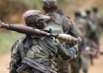 ADF Strikes Again: Civilians Brutally Killed in FARDC-Controlled Area as Relative Calm Prevails in Areas Controlled by MRDP-Twirwaneho and AFC/M23