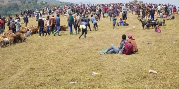 “Ville Morte” i Uvira, Ariko Isoko rya Kiziba Ryaremye neza: Ibyo Abaturage Bavuga ku Mibereho Mishya mu Bijombo