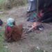Rurambo: Hamenyekanye Ubuzima Bukomeye Abapfulero Barimo Nyuma yo Guhunga