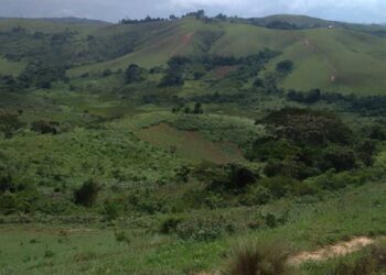 Rurambo a changé la dynamique des combats : le MRDP-Twirwaneho et l’AFC/M23 auraient repoussé les FARDC et pris le contrôle de toutes les hauteurs dominant la plaine de la Rusizi