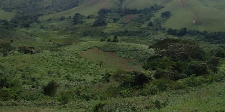 Rurambo a changé la dynamique des combats : le MRDP-Twirwaneho et l’AFC/M23 auraient repoussé les FARDC et pris le contrôle de toutes les hauteurs dominant la plaine de la Rusizi