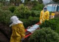 Ebola muri RDC: Imibare ikomeje gutera impungenge mu gihe igihugu gihanganye n’ibibazo by’umutekano n’imiyoborere