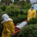 Ebola muri RDC: Imibare ikomeje gutera impungenge mu gihe igihugu gihanganye n’ibibazo by’umutekano n’imiyoborere