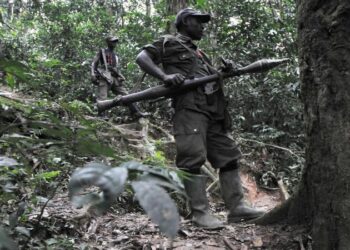Ibihugu bikomeye byasabye Tshisekedi gufata ingamba zihamye zo gukemura burundu ikibazo cya FDLR