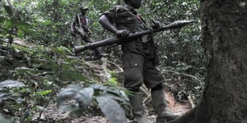 Ibihugu bikomeye byasabye Tshisekedi gufata ingamba zihamye zo gukemura burundu ikibazo cya FDLR