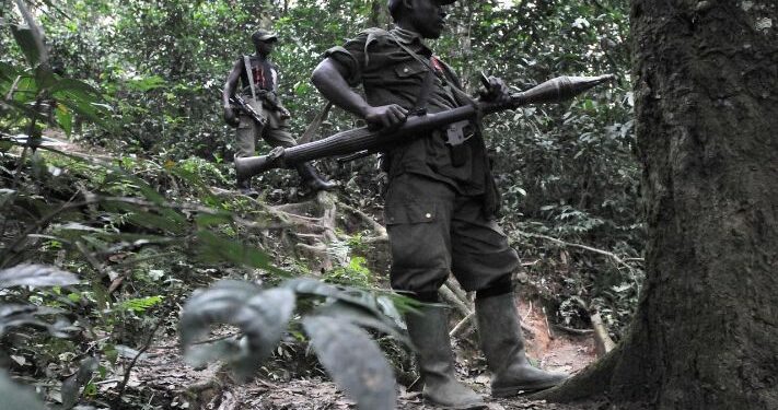 Ibihugu bikomeye byasabye Tshisekedi gufata ingamba zihamye zo gukemura burundu ikibazo cya FDLR