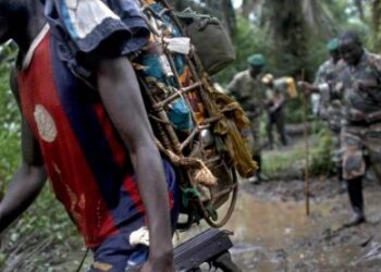 FDLR imaze imyaka irenga 30 mu burasirazuba bwa Congo: Ese Congo n’u Burundi biracyakoresha uyu mutwe mu ntambara? Menya umubare w’abarwanyi n’ikibazo cy’ejo hazaza.