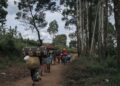 Walikale: Wazalendo basubiranyemo, abaturage bahungira mu mashyamba; imiyoborere ya UDPS irakemangwa
