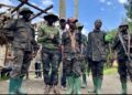 Wazalendo abo Tshisekedi yiyegereje bakomeje kurwanira ubuyobozi; aya makimbirane akomeje gutesha agaciro Leta ye — Menya byinshi kuri iyi nkuru