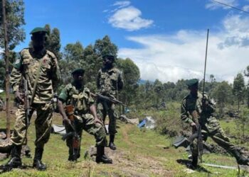 Imirwano ikomeye muri Rushihe: AFC/M23 yasunitse FARDC, Wazalendo na FDLR