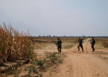 FNL Yiyongereyeho Abasirikare Benshi: Umutwe wa Gen. Aloys Nzabamepma Wavuze ko Ufite Icyizere cyo Guhirika CNDD-FDD