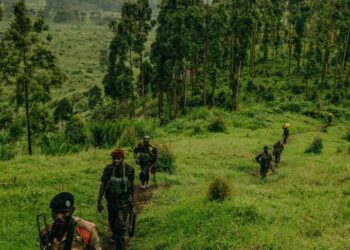 Rwanda–Burundi: Amagambo Akomeye ya Nduhungirehe Asubiza Bizimana ku Kibazo cya FDLR