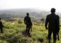 Masango Yafashwe: MRDP-Twirwaneho Yigaruriye Agace Karimo Ibirindiro 8 bya FARDC n’Abafatanyabikorwa Bayo