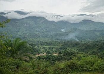 Fizi: A Night of Heavy Attacks, FARDC and Allied Forces Reported to Have Suffered Losses, Kabanju Surrounded