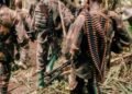 MRDP-Twirwaneho yigambye kuvugutira umuti FARDC, Wazalendo n’ingabo z’u Burundi mu mirwano yo muri Kivu y’Amajyepfo
