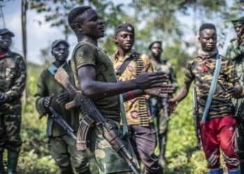 FDLR mu ihurizo rishya: RDC ivuga ko iri gushyira mu bikorwa amasezerano ya Washington, ariko ibirego by’i Pinga biracyategereje igenzura