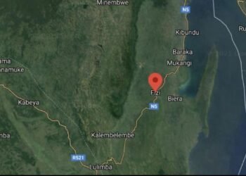 Ibyo mutamenye ku mirwano iheruka guhuza MRDP-Twirwaneho n’ihuriro ry’ingabo za RDC muri Nyagishasha